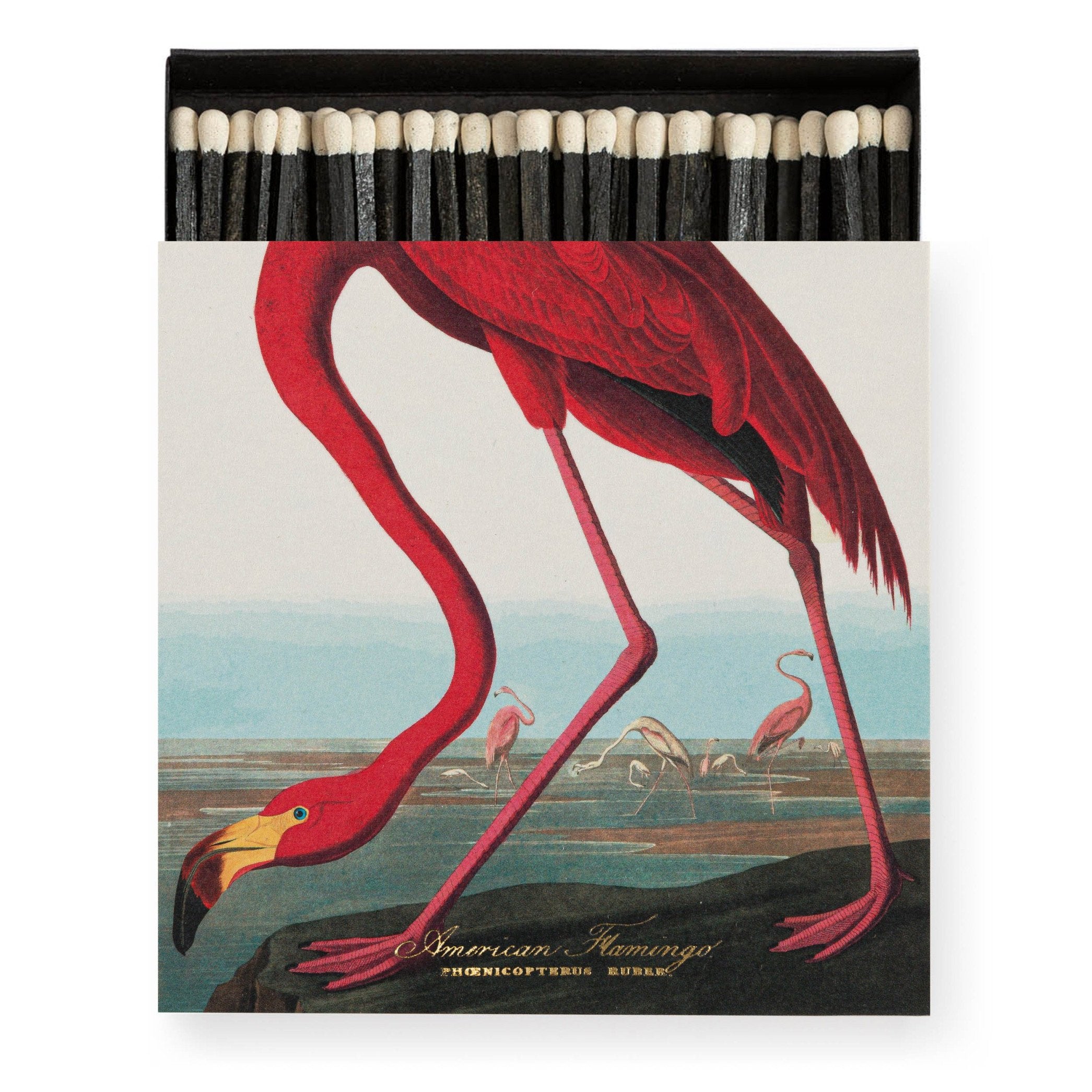 The American Flamingo by Audubon Luxury Matches – 100 Stick Matches