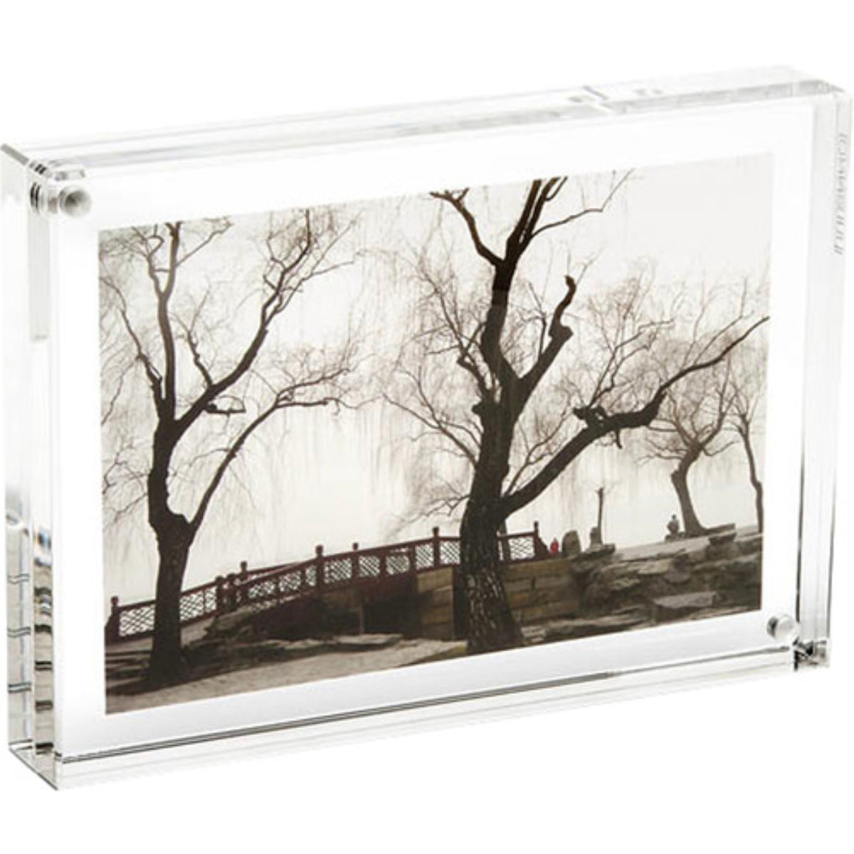 Canetti Original Clear Magnet Frame –  8" x 10"
